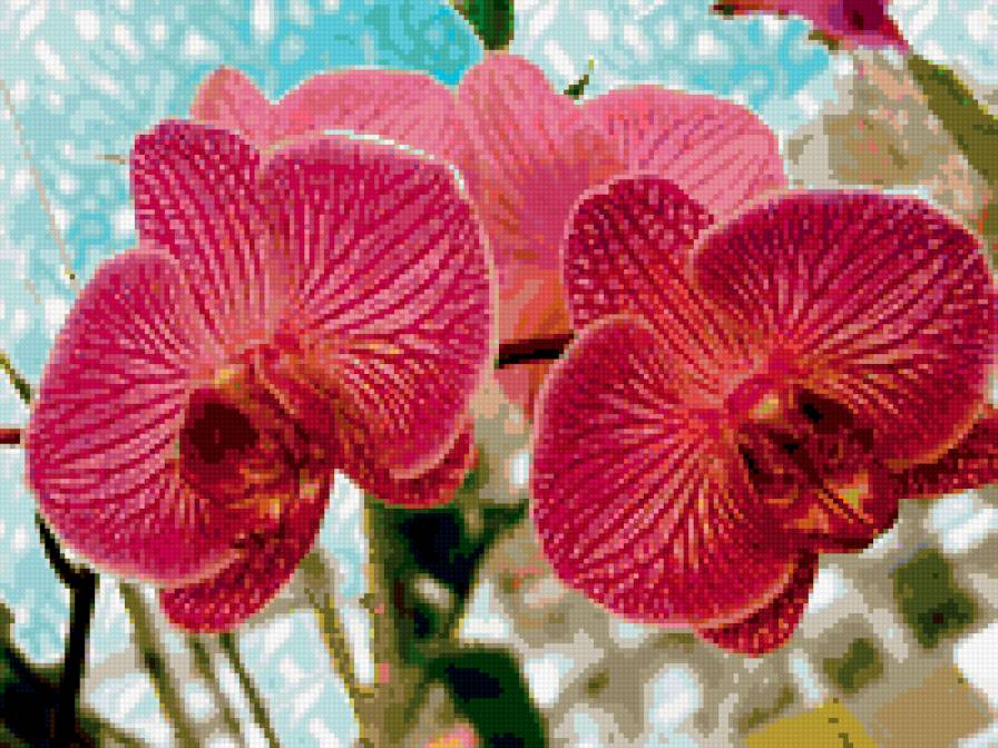 №291321 - предпросмотр