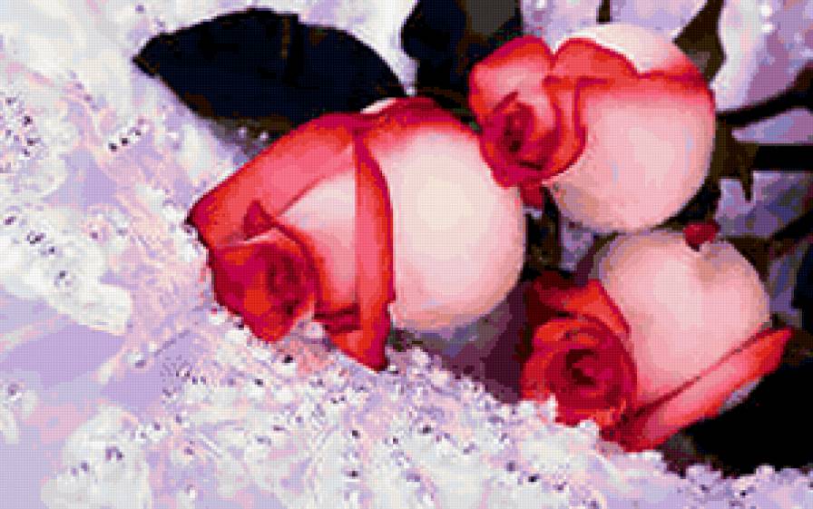 №291379 - букеты, розы, цветы - предпросмотр