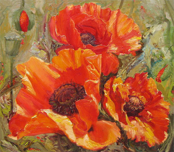 маки - цветы природа - оригинал