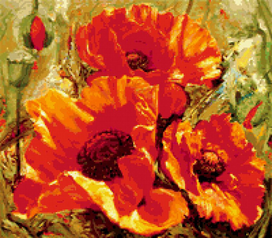 маки - цветы природа - предпросмотр