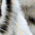 Предпросмотр схемы вышивки «Белые тигры» (№291673)