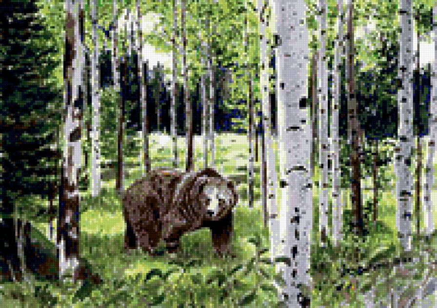 мишка - животные - предпросмотр