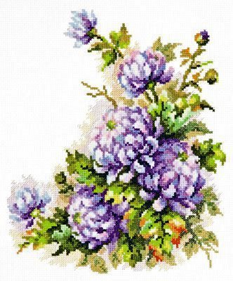 Хризантемы - цветы - оригинал