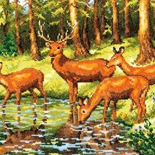 лесная жизнь