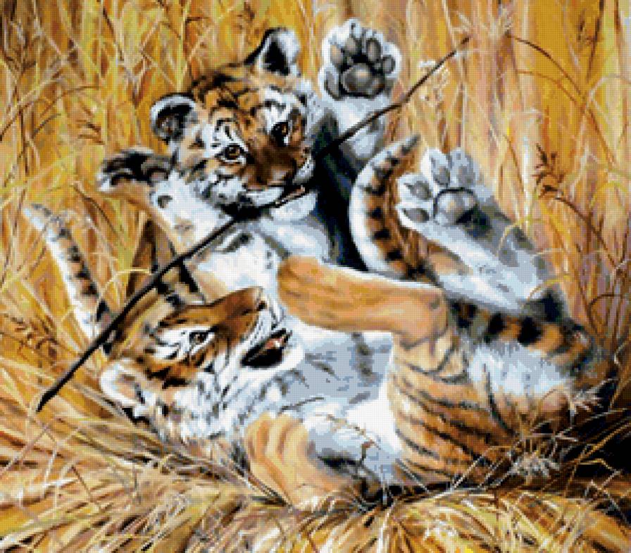 тигрята - предпросмотр