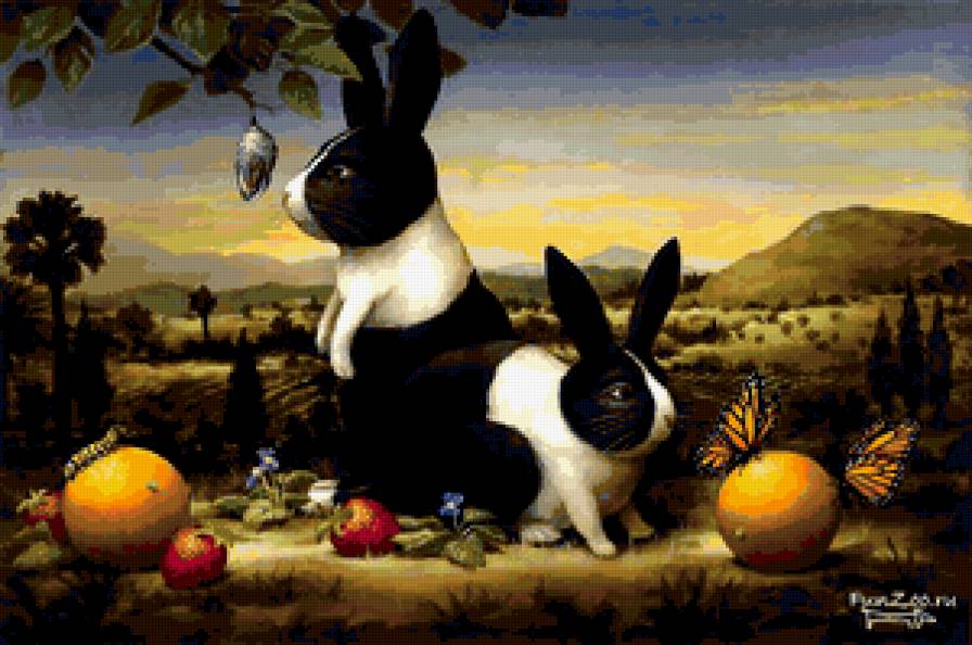 зайцы - предпросмотр