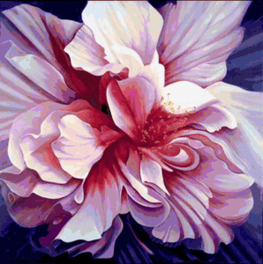 Серия "Букет" - цветы, букет, пионы - предпросмотр