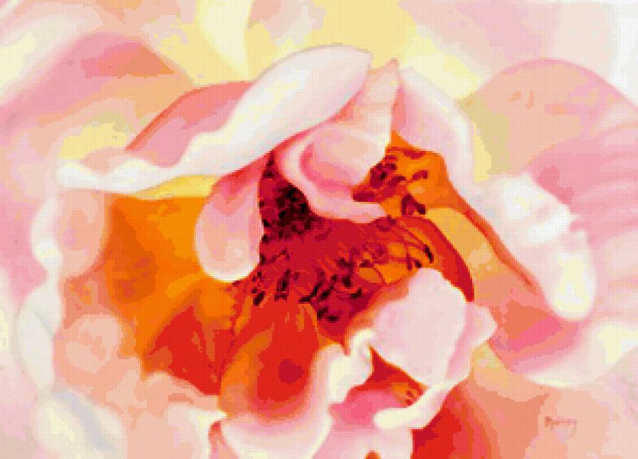 Серия "Букет" - цветы, букет, розы - предпросмотр