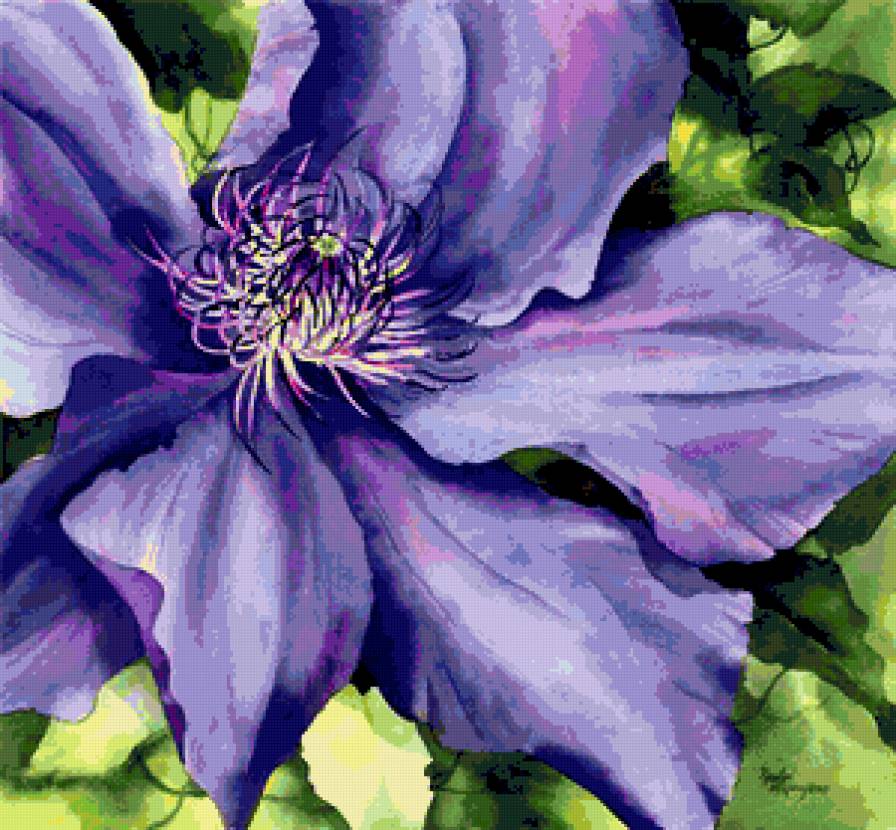 Серия "Букет" - клематисы, цветы, букет - предпросмотр