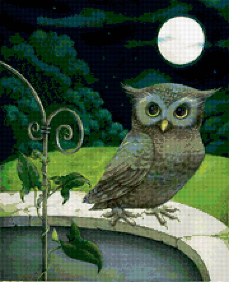 совушка - луна, сова, ночь - предпросмотр