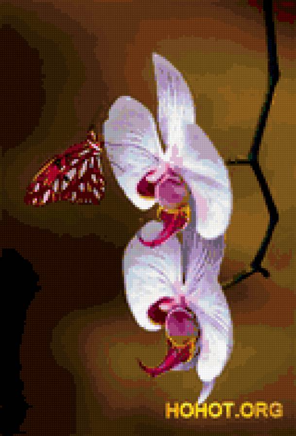 Крошечная бабочка - бабочка, цветок - предпросмотр