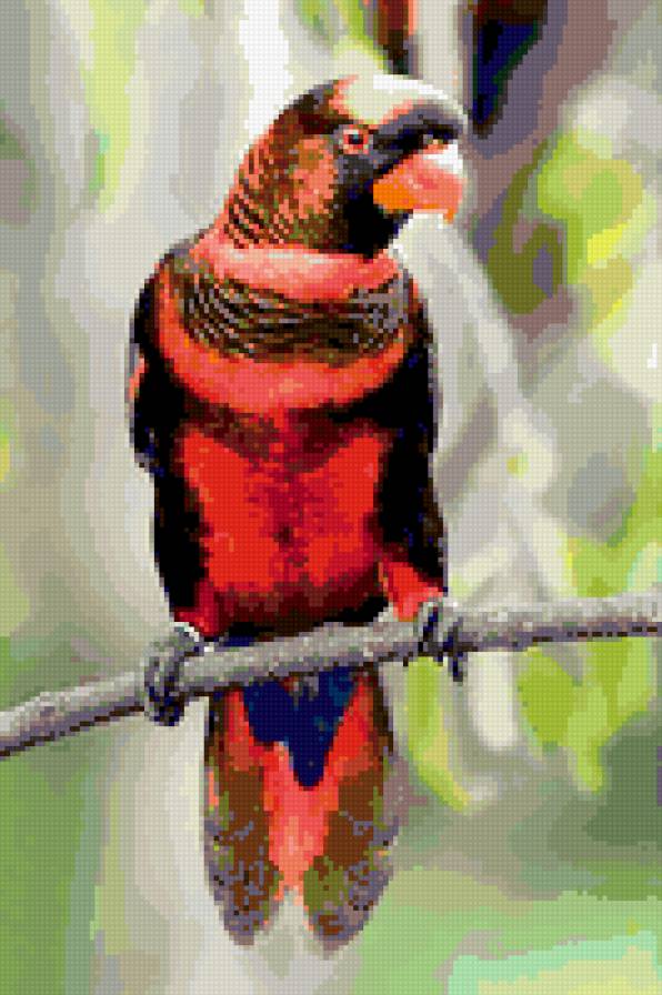 красный попугай - попугай - предпросмотр