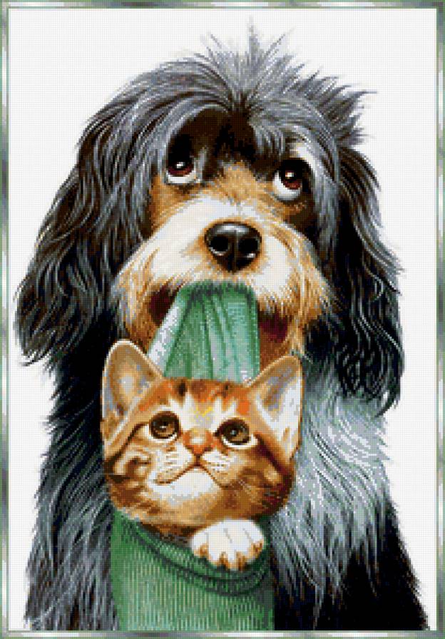 щенок и котенок - предпросмотр