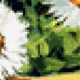 Предпросмотр схемы вышивки «№292357»