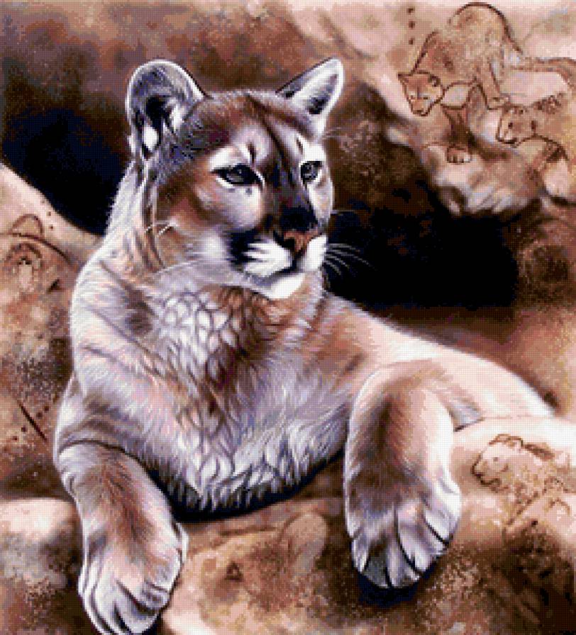 большие кошки - предпросмотр