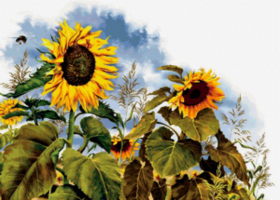 №292368 - предпросмотр