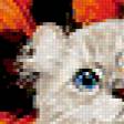 Предпросмотр схемы вышивки «Милый котик» (№292458)