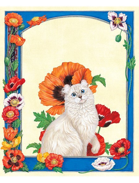 Милый котик - кот - оригинал