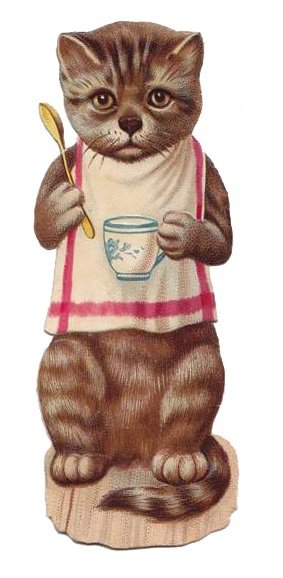 Милый котик - кот - оригинал