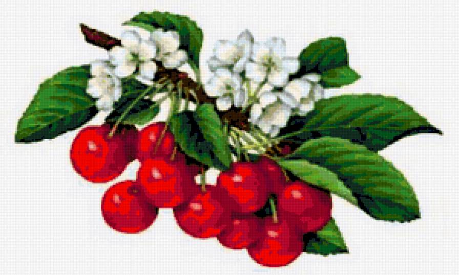 №292481 - предпросмотр