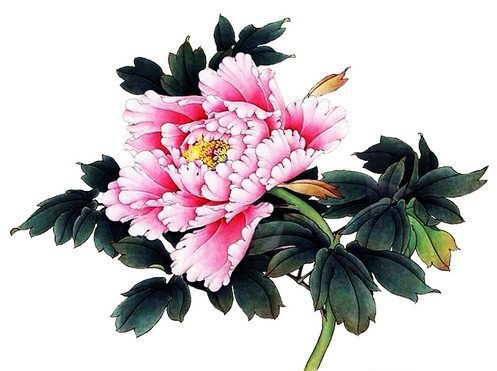 пионы - оригинал