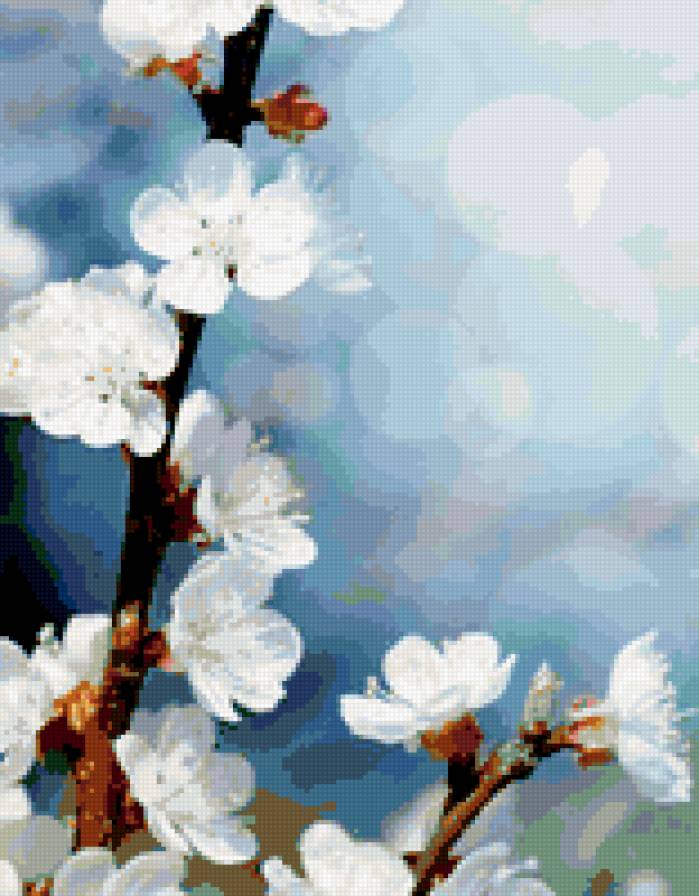 019 - цветы - предпросмотр