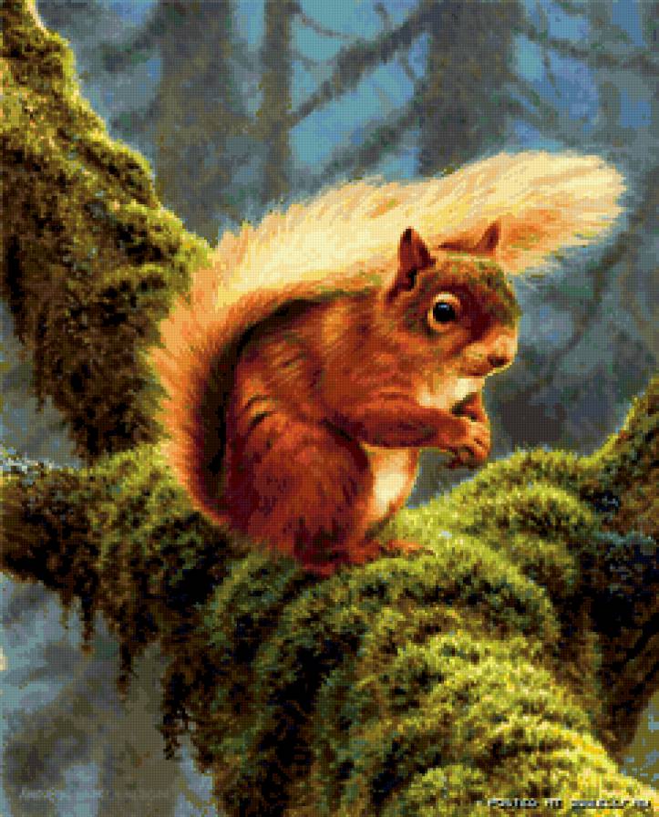 №292549 - белка - предпросмотр