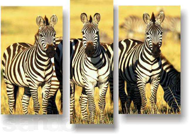 зебры - зебры, саванна, природа, триптих - оригинал