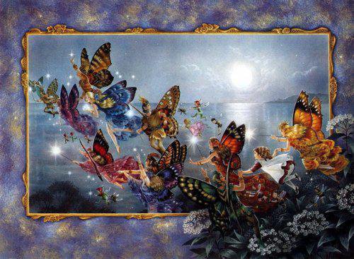 бабочки-эльфы - насекомые - оригинал