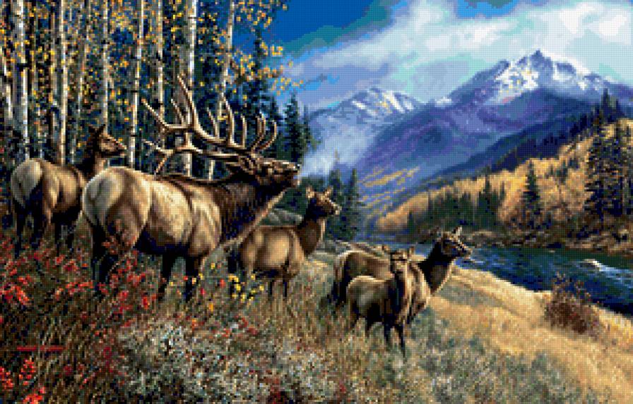 олени - предпросмотр