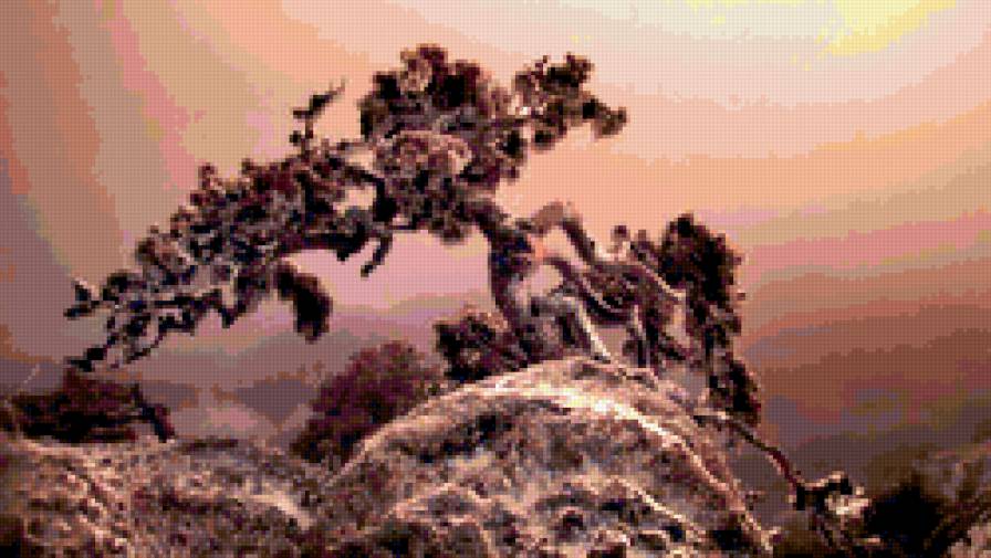 №292846 - природа - предпросмотр