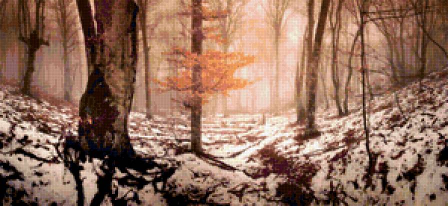 Первый снег - снег, туман, природа - предпросмотр