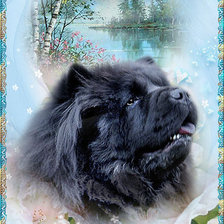 Схема вышивки «№292899»