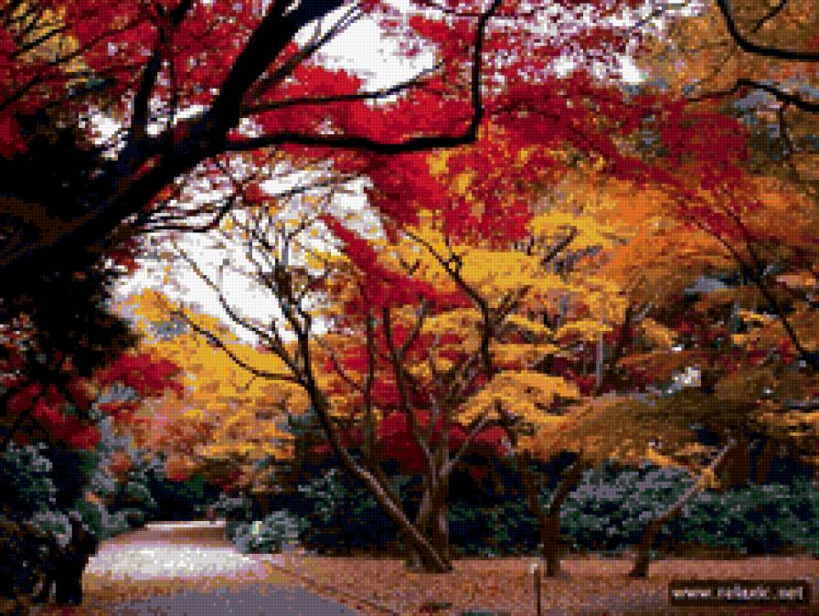 осень - осень в парке - предпросмотр