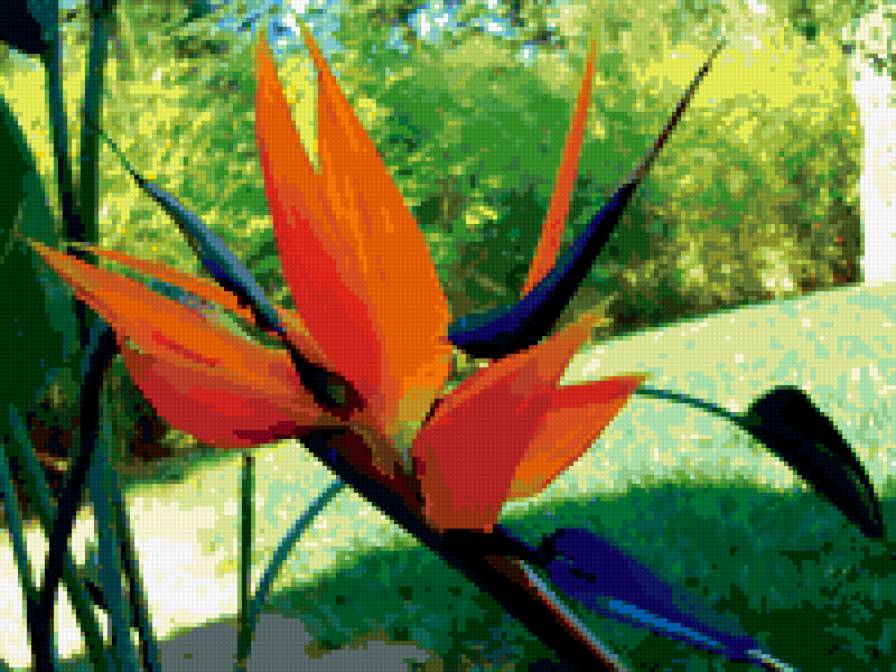 стрелиция - стрелиция - предпросмотр