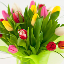 Схема вышивки «тюльпаны»