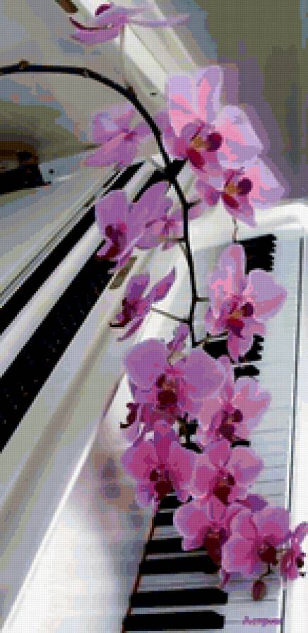 Ветка орхидеи - орхидея, пианино - предпросмотр