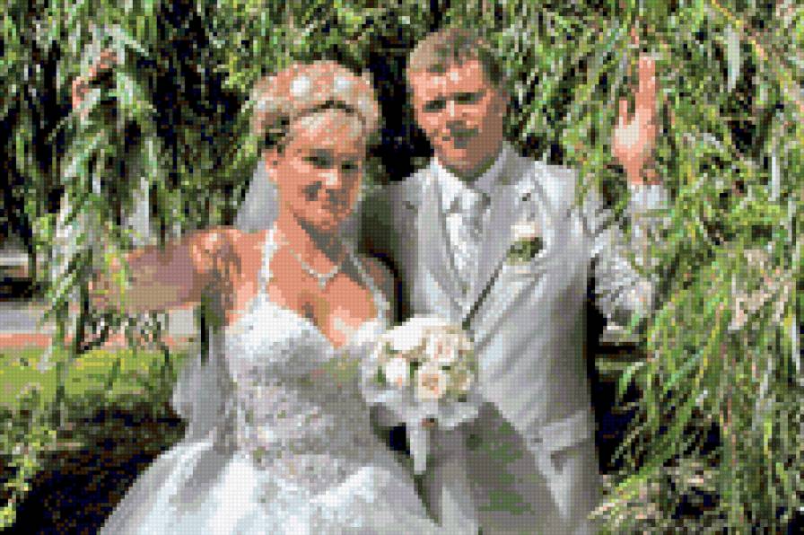 №293261 - предпросмотр