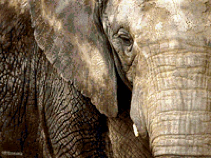 слоник - предпросмотр