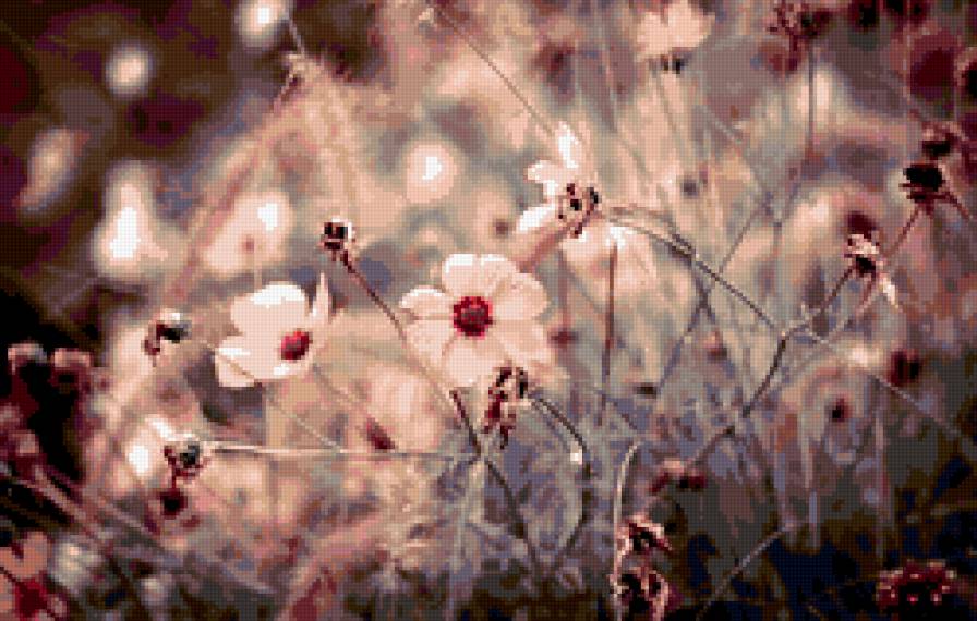 розоые цветы - предпросмотр