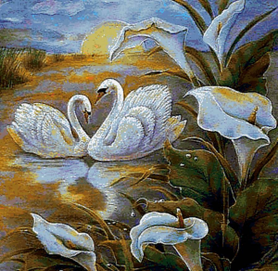 Лебеди на закате - озеро, лебеди, закат - предпросмотр