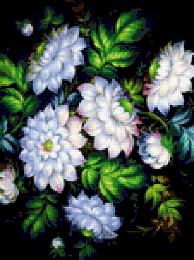 №293684 - предпросмотр