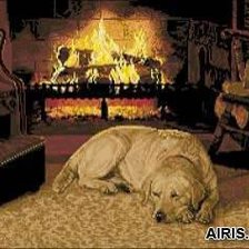 Схема вышивки «Собака»