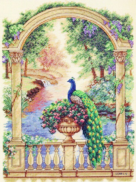 павлин - оригинал