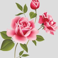 Схема вышивки «нежная роза»