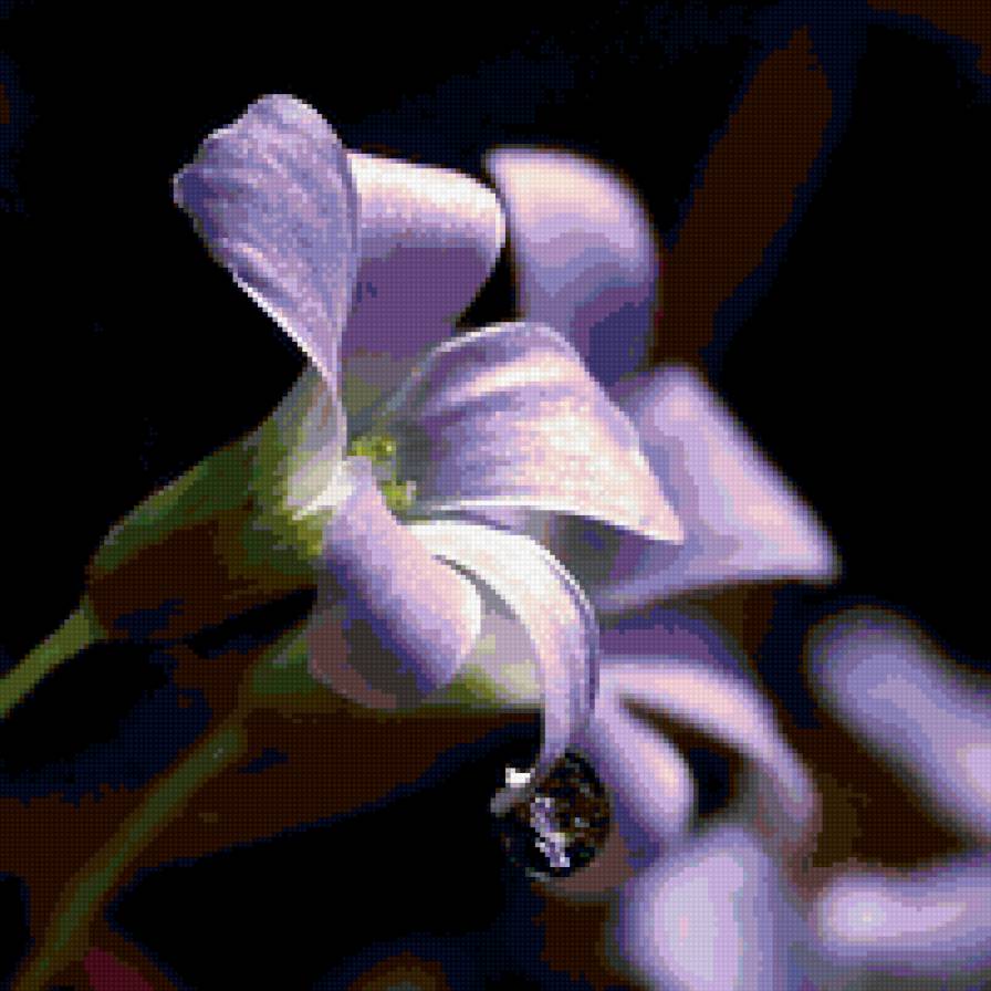 023 - цветы - предпросмотр