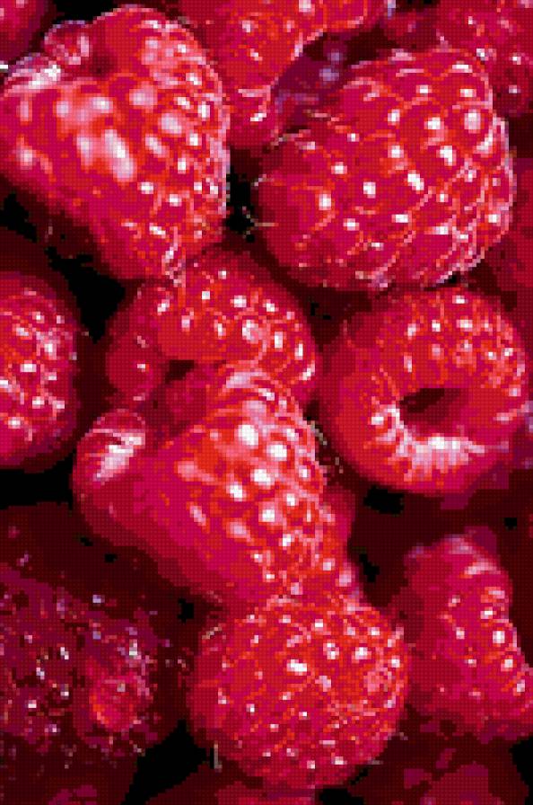 026 - фрукты, ягоды - предпросмотр