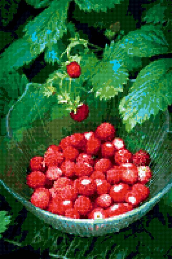 029 - фрукты, ягоды - предпросмотр