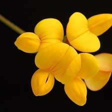 Схема вышивки «030»