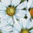 Предпросмотр схемы вышивки «Натюрморт, цветы, ромашки» (№294199)